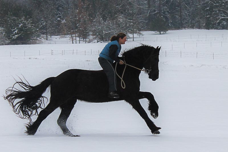 Jessica riding Friesian in snow